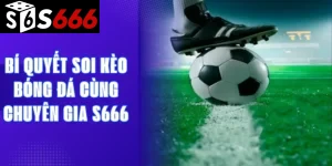 Bí quyết soi kèo bóng đá cùng chuyên gia S666