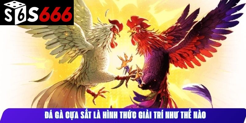 Đá gà cựa sắt là hình thức giải trí như thế nào