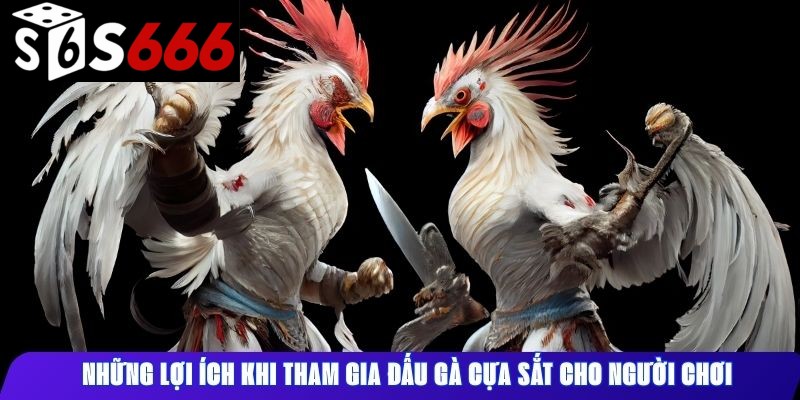 Những lợi ích khi tham gia đấu gà cựa sắt cho người chơi