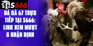 Đá gà 67 trực tiếp tại S666