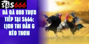 Đá gà 888 trực tiếp tại S666