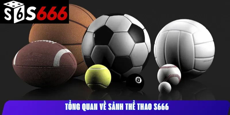 Tổng quan về sảnh thể thao S666