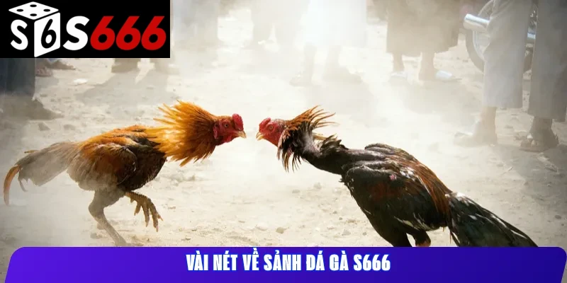 Vài nét về sảnh Đá Gà S666