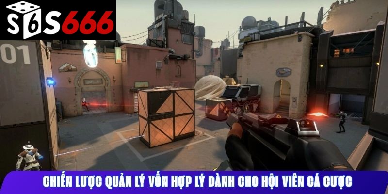Chiến lược quản lý vốn hợp lý dành cho hội viên cá cược